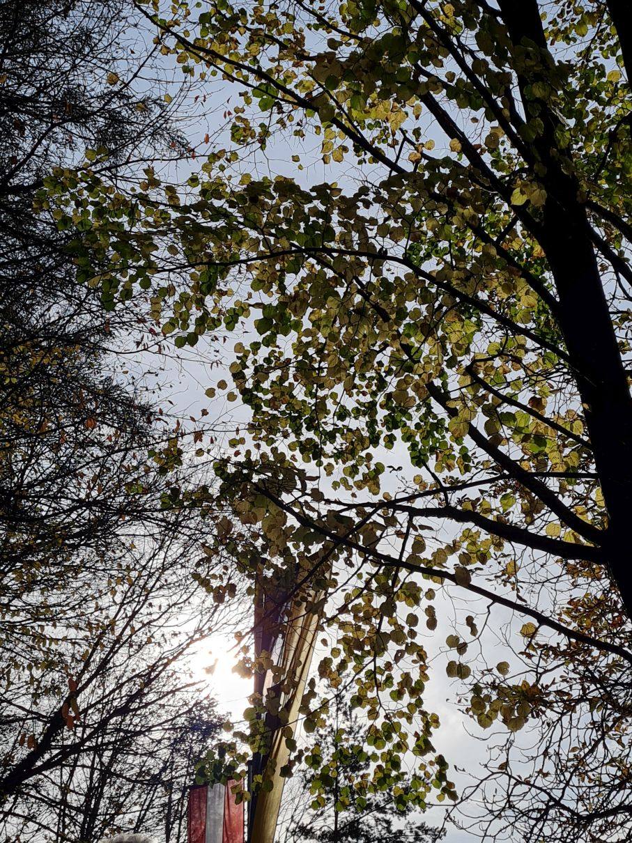 Totengedenken Kriegerdenkmal u Friedhof