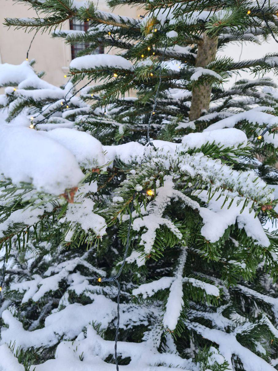 Familienmesse 3. Adventsonntag