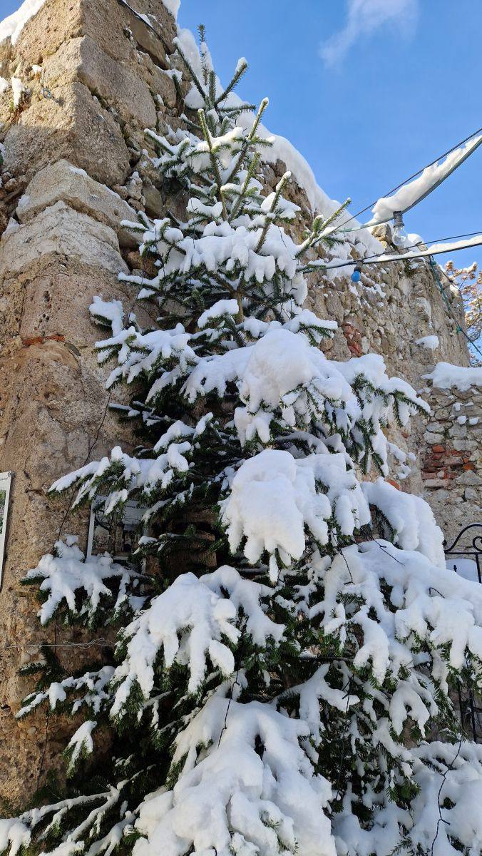 Adventmarkt Burg Neuhaus