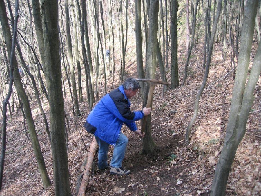 Der Nepomuksteig
